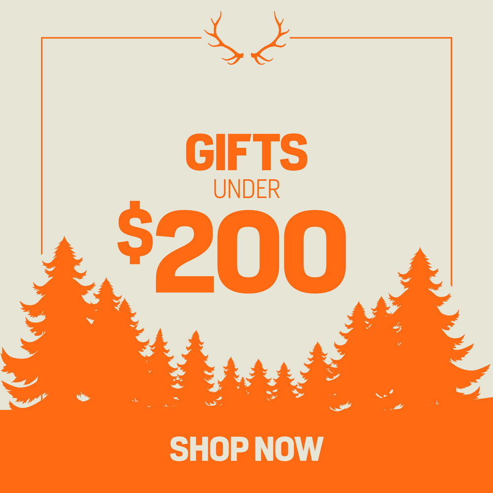Gifts Under $200